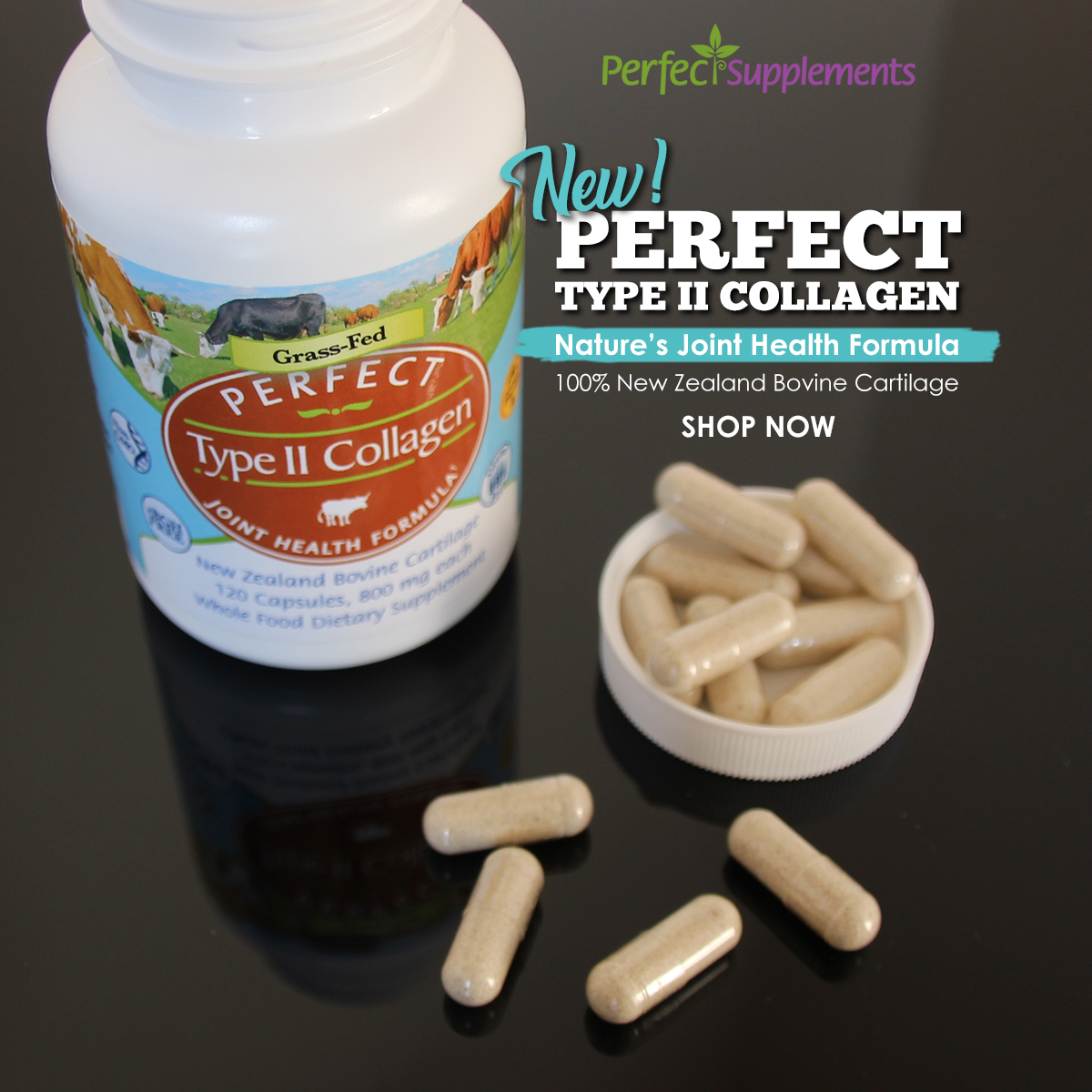 Perfect Type II Collagen (Bovine Cartilage) - Bottle and Capsules IMAGE TOP View (New Zealand Copy) - 1200x1200